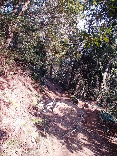 陣馬山~景信山~高尾山