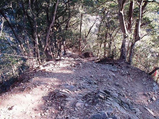 陣馬山~景信山~高尾山