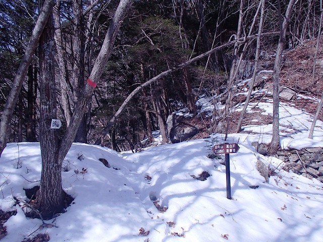 日向山