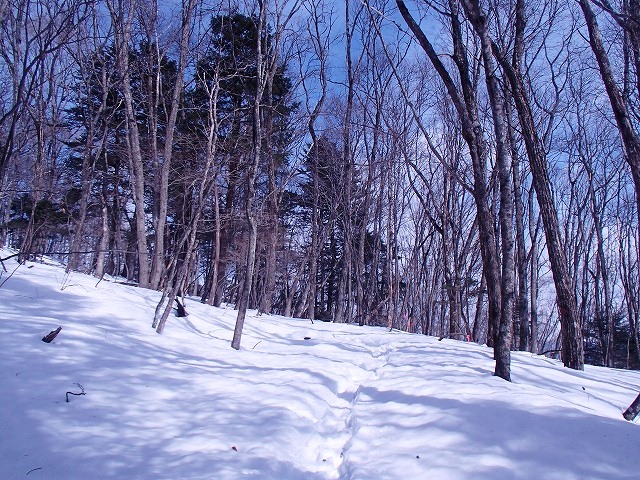 日向山