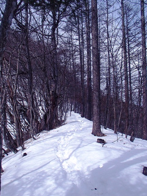 日向山