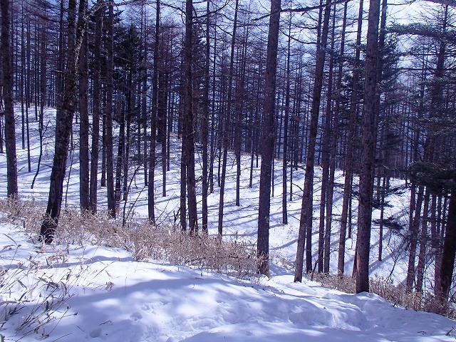 日向山
