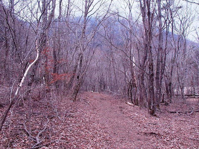 毛無山 改め 竜ヶ岳
