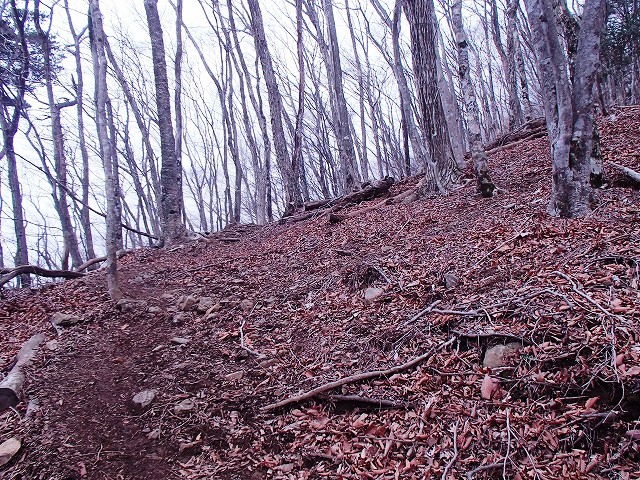 毛無山 改め 竜ヶ岳