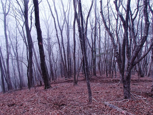 毛無山 改め 竜ヶ岳