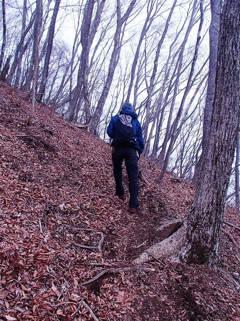 毛無山 改め 竜ヶ岳