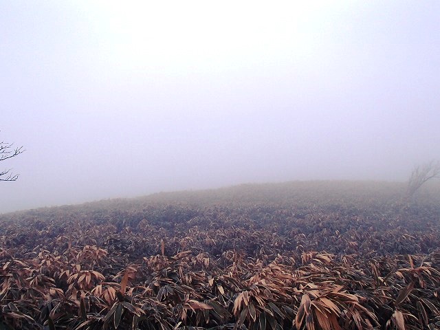 毛無山 改め 竜ヶ岳