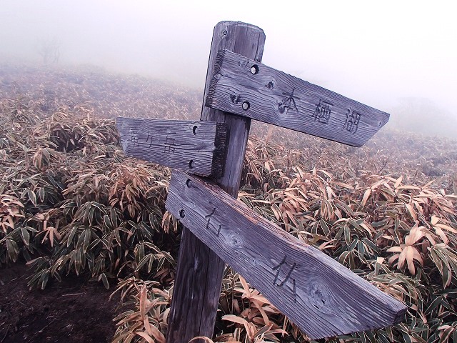 毛無山 改め 竜ヶ岳