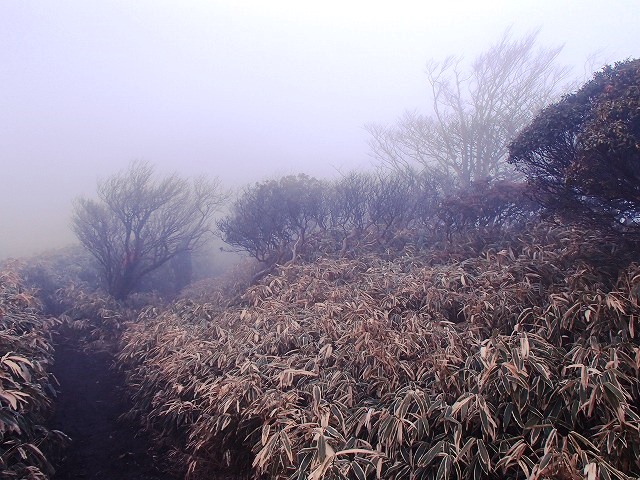 毛無山 改め 竜ヶ岳