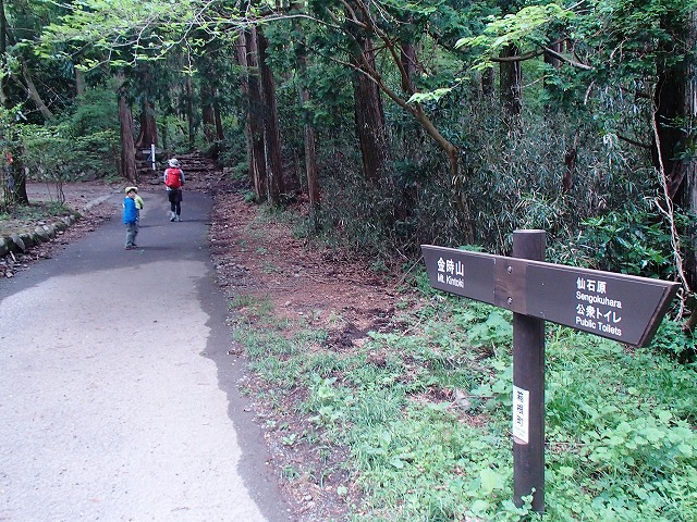 金時山