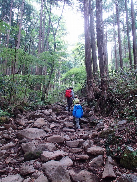 金時山