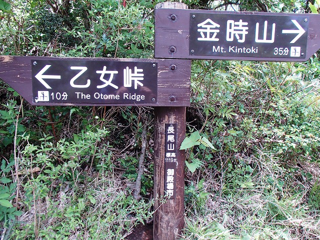 金時山