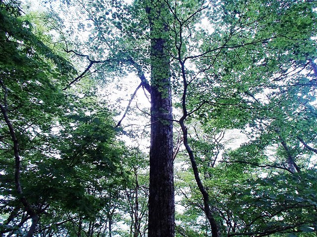 高塚山