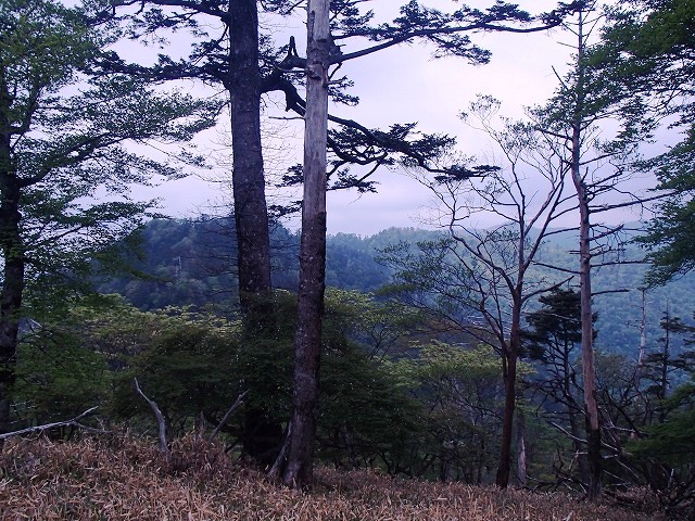 高塚山