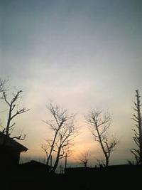 びみょ~な。