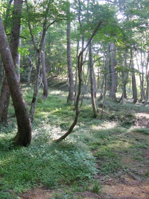 H25夏休み★ひるがの高原キャンプ場編