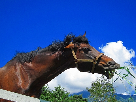 俺の夏が終わった2012inハートランド朝霧
