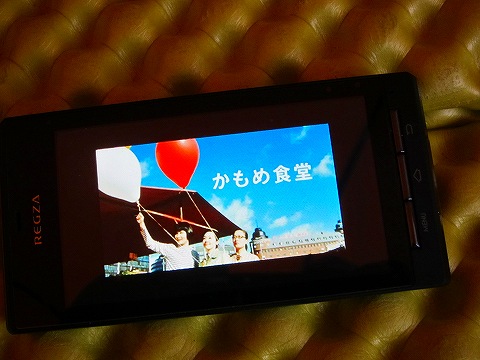 のんびりソロキャンプin明光山(GW3本目)