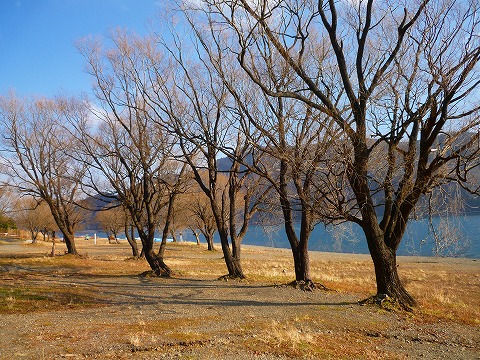 西湖三つ子のキャンプ場!