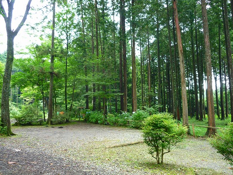 イケてる!「朝霧高原オートキャンプ場」