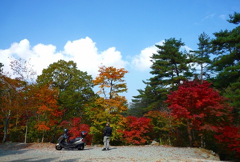 紅葉キャンプin道志の森