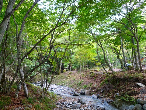 「山伏オートキャンプ場」バランス良!