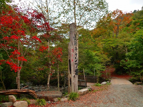 秋の満足ソロキャンin山伏オートキャンプ場