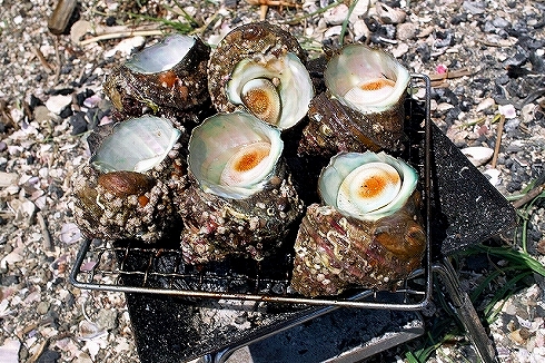 再び海へデイキャンプ ~5月~