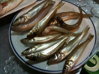 6/2釣果。。。