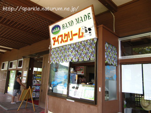 カブト狩りキャンプ~前森高原キャンプ場~【後編】
