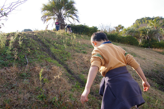 餅つきキャンプ 2011 その2