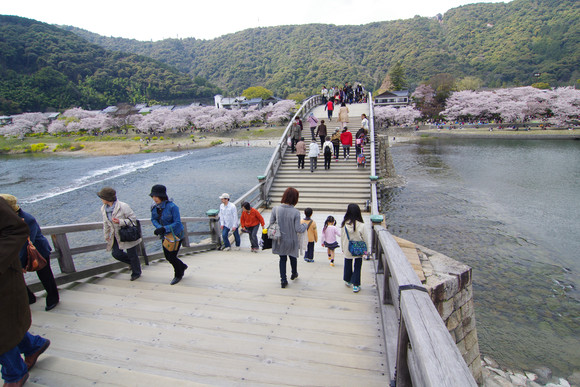 錦帯橋と桜
