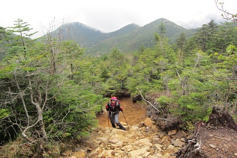 八ヶ岳最高峰　赤岳登頂（2011/6/17～19）