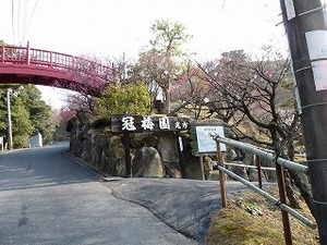 かくれんぼ大会 in 冠梅園(詳報)