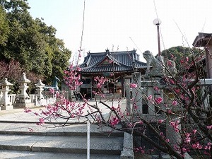 かくれんぼ大会 in 冠梅園(詳報)