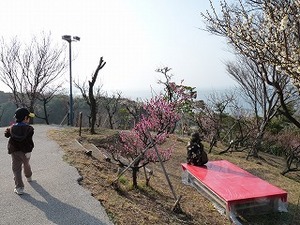 かくれんぼ大会 in 冠梅園(詳報)
