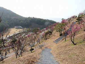 かくれんぼ大会 in 冠梅園(詳報)