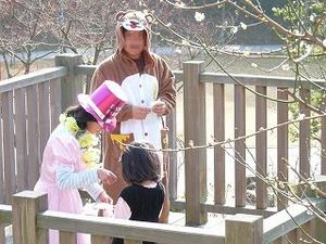 かくれんぼ大会 in 冠梅園(詳報)