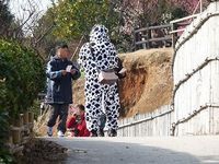 かくれんぼ大会 in 冠梅園(詳報)