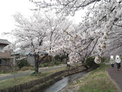 地元「新発田」を歩く（１１）