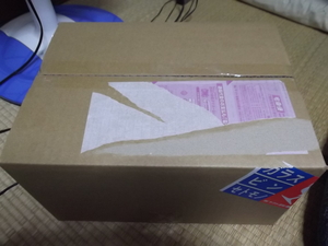 「ブツ」がキタ━━━(゚∀゚)━━━!!
