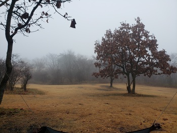１２月の朝霧とは思えなかったよ。