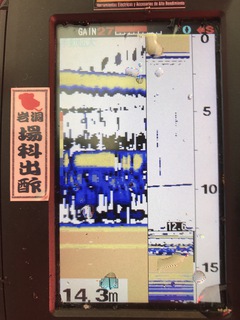 モロキュー&小石川53匹 モロキュー&小石川53匹