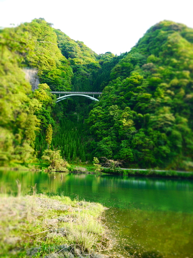 2015年5月福岡グリーンパル日向神峡