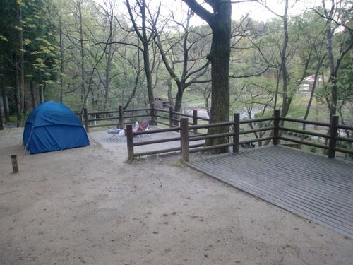 はじめまして　福岡でキャンプ始めました
