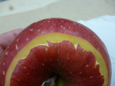 リンゴで、チマチマ…