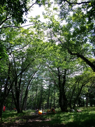 花見ヶ原森林公園キャンプ場(２日目)のんびりまったりの夏の避暑キャン