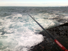 最高の釣り納め(南紀ヒラスズキ釣行)