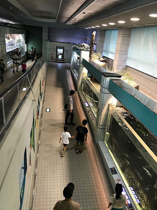 車中泊の旅 道の駅もっくる新城 車中泊の旅 道の駅もっくる新城