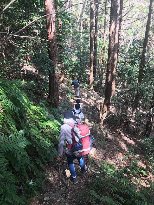 途中撤退の宇連山登山 途中撤退の宇連山登山